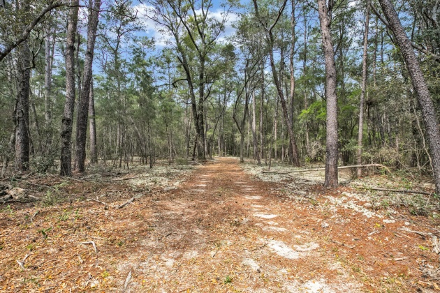 Freeport, Florida 32439, ,Land,For Sale,Garden,867817