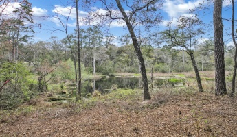 Freeport, Florida 32439, ,Land,For Sale,Garden,867817