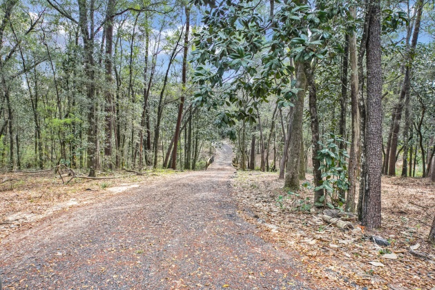Freeport, Florida 32439, ,Land,For Sale,Garden,867817