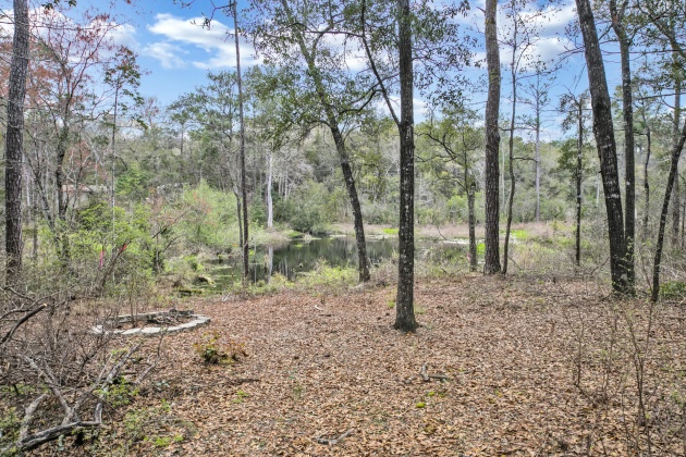 Freeport, Florida 32439, ,Land,For Sale,Garden,867817