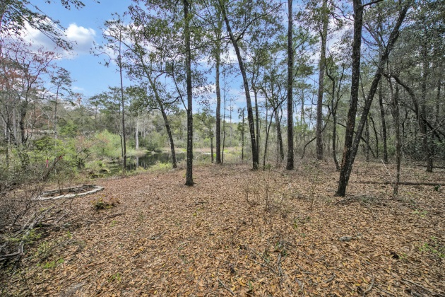 Freeport, Florida 32439, ,Land,For Sale,Garden,867817