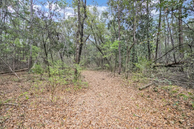 Freeport, Florida 32439, ,Land,For Sale,Garden,867817