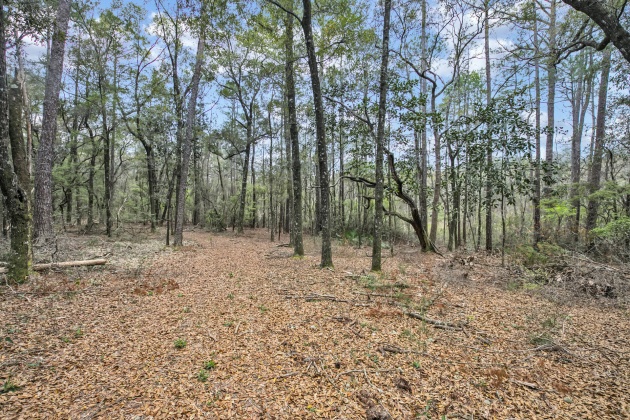 Freeport, Florida 32439, ,Land,For Sale,Garden,867817