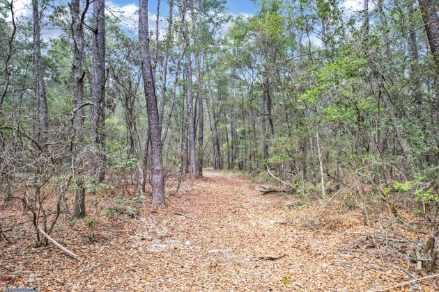 Freeport, Florida 32439, ,Land,For Sale,Garden,867817
