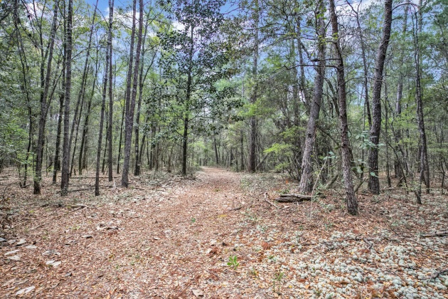 Freeport, Florida 32439, ,Land,For Sale,Garden,867817