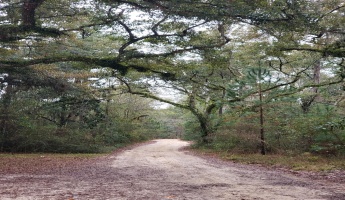 Freeport, Florida 32439, ,Land,For Sale,Obacs,865944