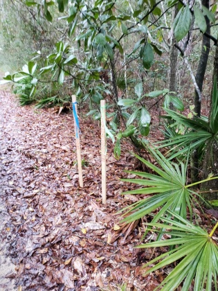 Freeport, Florida 32439, ,Land,For Sale,Obacs,865944