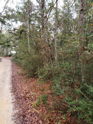 Freeport, Florida 32439, ,Land,For Sale,Obacs,865944