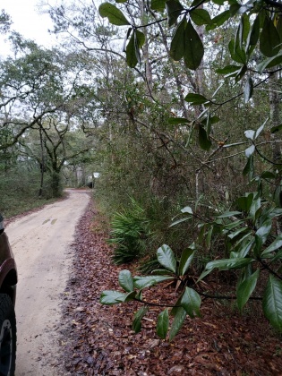 Freeport, Florida 32439, ,Land,For Sale,Obacs,865944