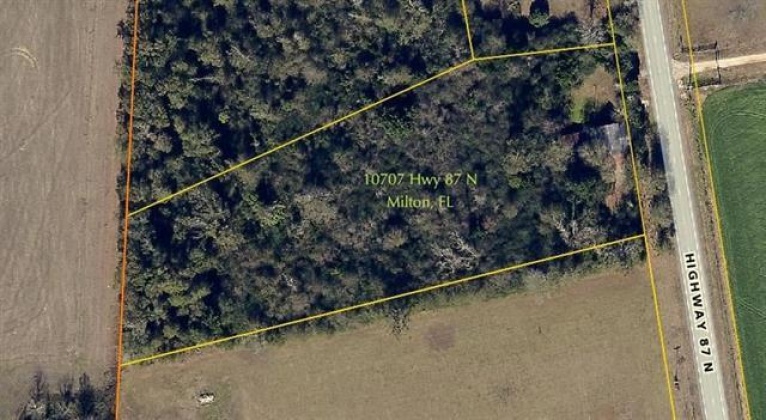 Jay, Florida 32565, ,Land,For Sale,Hwy 87,866236