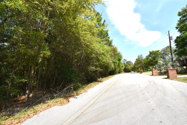 Crestview, Florida 32536, ,Land,For Sale,Thurston,843910