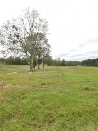 Laurel Hill, Florida 32567, ,Land,For Sale,Ludlum,858386