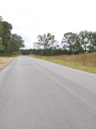 Laurel Hill, Florida 32567, ,Land,For Sale,Ludlum,858386