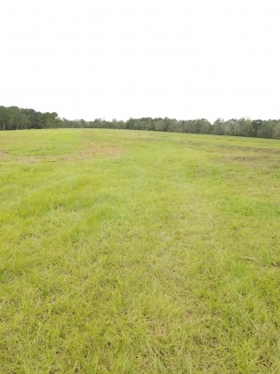 Laurel Hill, Florida 32567, ,Land,For Sale,Ludlum,858386