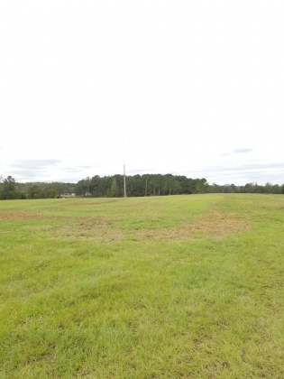 Laurel Hill, Florida 32567, ,Land,For Sale,Ludlum,858386