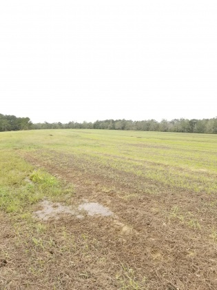 Laurel Hill, Florida 32567, ,Land,For Sale,Ludlum,858386