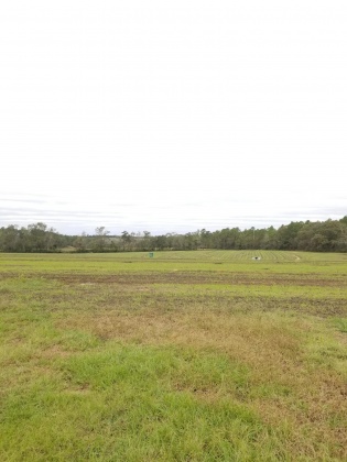 Laurel Hill, Florida 32567, ,Land,For Sale,Ludlum,858386