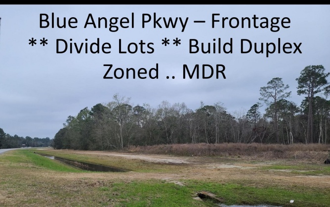 Pensacola, Florida 32506, ,Land,For Sale,Blue Angel,865062