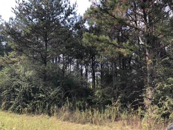 Other, Alabama N/A, ,Land,For Sale,Tower,867893