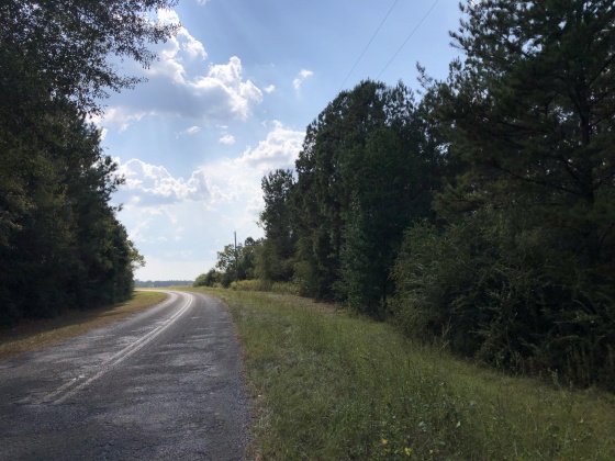 Other, Alabama N/A, ,Land,For Sale,Tower,867893