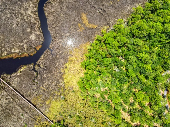 Freeport, Florida 32439, ,Land,For Sale,Cross Creek,863191