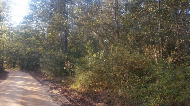 Laurel Hill, Florida 32433, ,Land,For Sale,W. Suttles Road,859484
