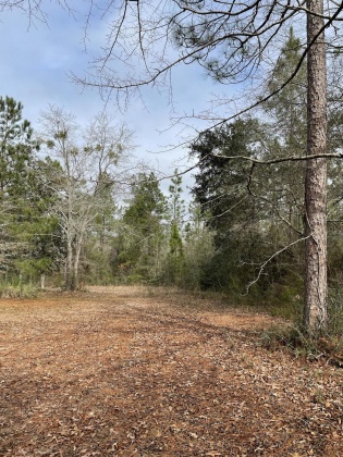 Laurel Hill, Florida 32567, ,Land,For Sale,Co Hwy 2,864703