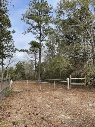 Laurel Hill, Florida 32567, ,Land,For Sale,Co Hwy 2,864703