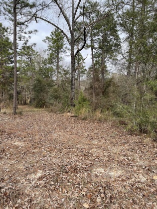 Laurel Hill, Florida 32567, ,Land,For Sale,Co Hwy 2,864703