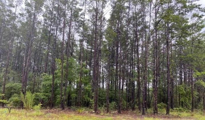 Defuniak Springs, Florida 32433, ,Land,For Sale,Dr Roberts,867937