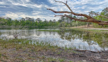 Vernon, Florida 32462, ,Land,For Sale,Moss Hill Road,867965