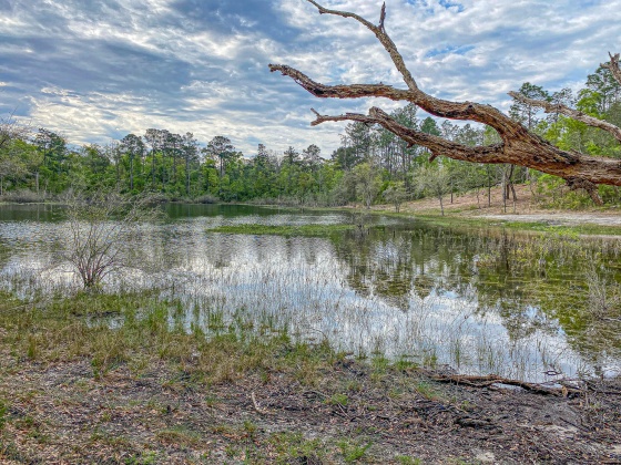 Vernon, Florida 32462, ,Land,For Sale,Moss Hill Road,867965