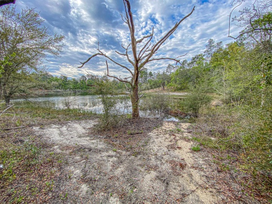 Vernon, Florida 32462, ,Land,For Sale,Moss Hill Road,867965