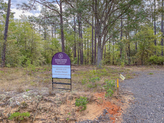 Vernon, Florida 32462, ,Land,For Sale,Moss Hill Road,867965