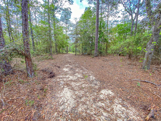 Vernon, Florida 32462, ,Land,For Sale,Moss Hill Road,867965
