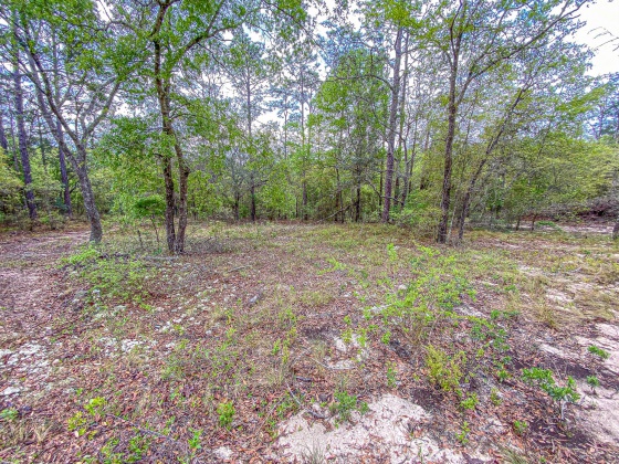 Vernon, Florida 32462, ,Land,For Sale,Moss Hill Road,867965