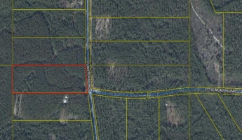 Laurel Hill, Florida 32567, ,Land,For Sale,Planters,867986
