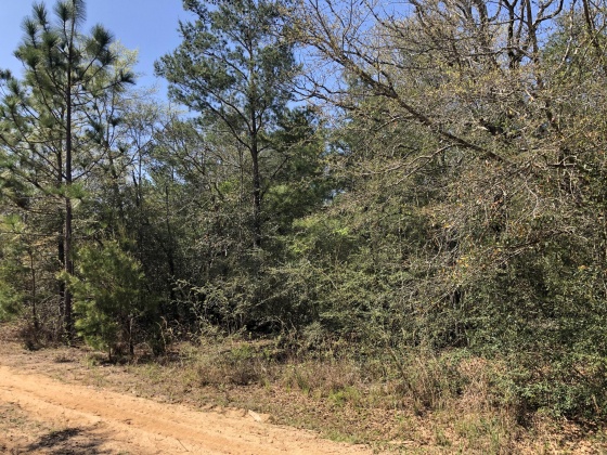 Defuniak Springs, Florida 32433, ,Land,For Sale,Wagner Dr.,868035