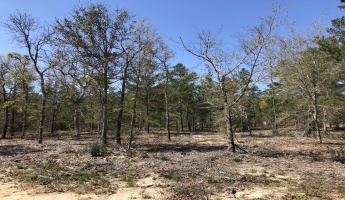 Defuniak Springs, Florida 32433, ,Land,For Sale,Wagner Dr.,868039