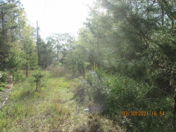 Defuniak Springs, Florida 32433, ,Land,For Sale,Brahms Drive,868066