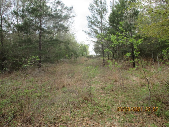 Defuniak Springs, Florida 32433, ,Land,For Sale,Brahms Drive,868066