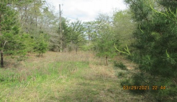 Defuniak Springs, Florida 32433, ,Land,For Sale,Brahms Drive,868066