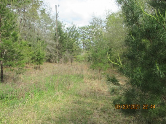 Defuniak Springs, Florida 32433, ,Land,For Sale,Brahms Drive,868066