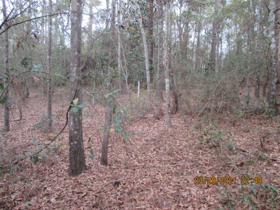 Defuniak Springs, Florida 32433, ,Land,For Sale,Brahms Drive,868066