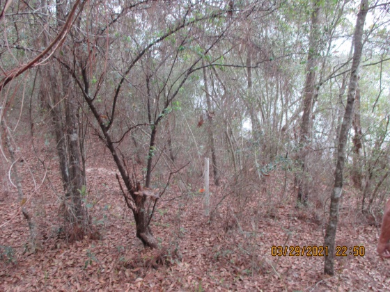 Defuniak Springs, Florida 32433, ,Land,For Sale,Brahms Drive,868066