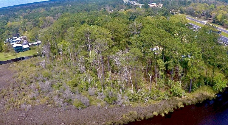 Freeport, Florida 32439, ,Land,For Sale,Lowery,868053