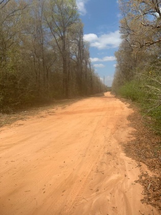 Laurel Hill, Florida 32567, ,Land,For Sale,John B Cadenhead,868060