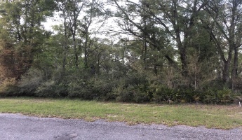 Ponce De Leon, Florida 32455, ,Land,For Sale,Waits,868129