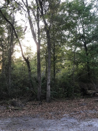 Ponce De Leon, Florida 32455, ,Land,For Sale,Waits,868129