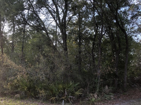 Ponce De Leon, Florida 32455, ,Land,For Sale,Waits,868129